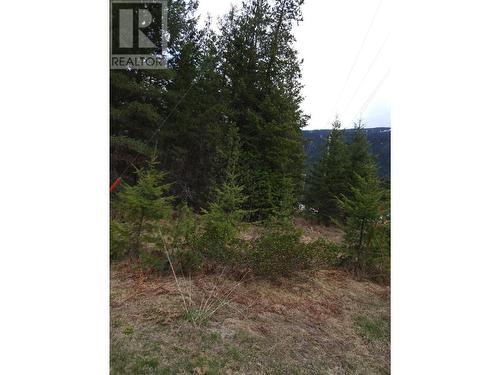 Lots 8-10 Hume Street, Slocan, BC 