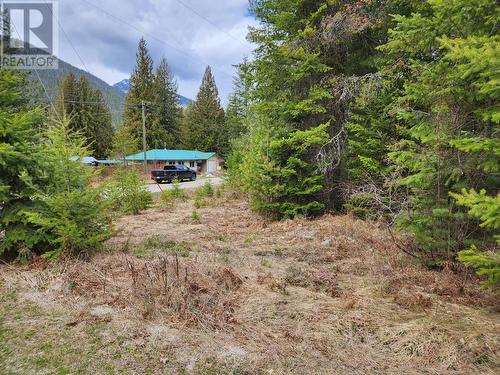 Lots 8-10 Hume Street, Slocan, BC 