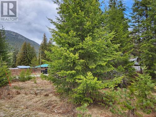 Lots 8-10 Hume Street, Slocan, BC 