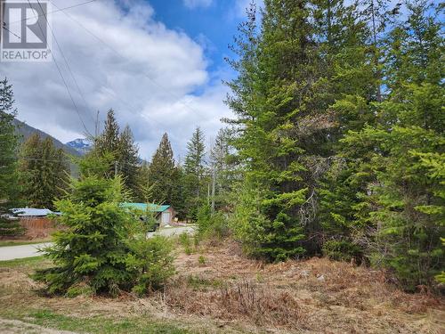 Lots 8-10 Hume Street, Slocan, BC 