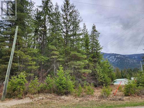 Lots 8-10 Hume Street, Slocan, BC 