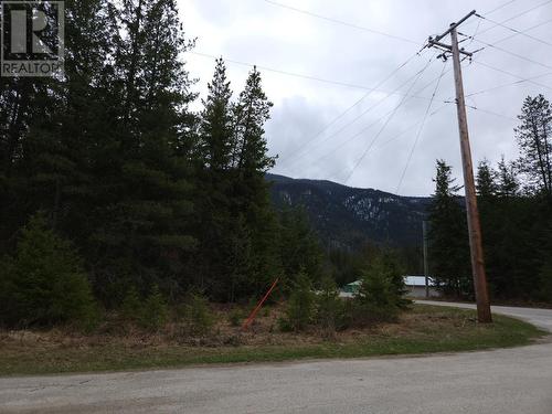 Lots 8-10 Hume Street, Slocan, BC 