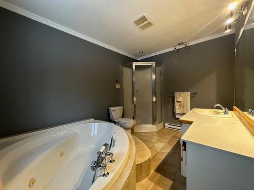 Salle de bains - 26  - 28 Rue Des Pins, Saint-Hippolyte, QC - Indoor Photo Showing Bathroom