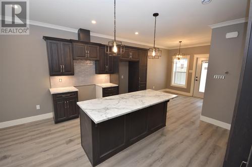 48 Macmar Lane, Conception Bay South, NL - Indoor Photo Showing Kitchen With Upgraded Kitchen