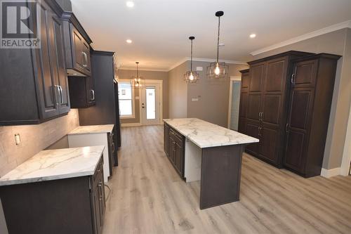 48 Macmar Lane, Conception Bay South, NL - Indoor Photo Showing Kitchen With Upgraded Kitchen
