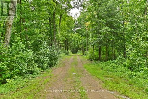 1268A South Rd, North Frontenac, ON 