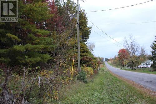 Looking east along Scott Rd from eastern part of lot - Note the tall trees - Scott Road, Cardinal, ON 