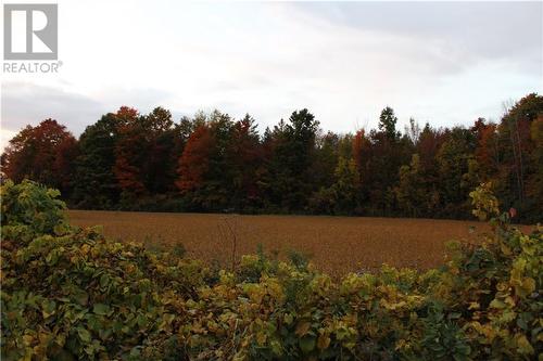 Looking north at open 1.5 acres - Scott Road, Cardinal, ON 