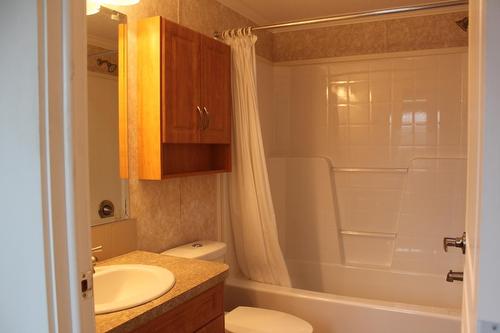 450 Brouse Loop Road, Nakusp, BC - Indoor Photo Showing Bathroom