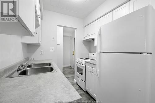 591 Wellington Avenue, Windsor, ON - Indoor Photo Showing Kitchen With Double Sink