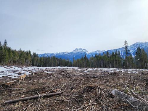 2102 Airport Way, Revelstoke, BC - Outdoor With View