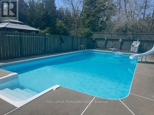 133 Shannonville Rd, Tyendinaga, ON - Outdoor With In Ground Pool With Backyard