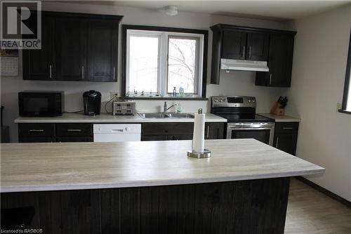 117 East Road, Northern Bruce Peninsula, ON - Indoor Photo Showing Kitchen With Double Sink