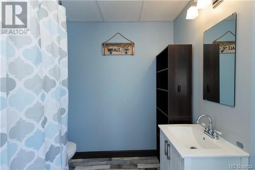 326 Ch De La Grande-Riviere, Saint-Léonard, NB - Indoor Photo Showing Bathroom
