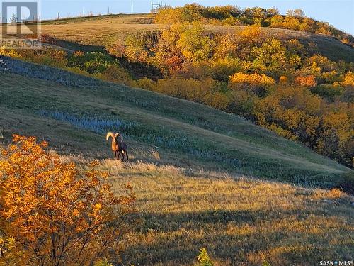 Hartland Whitetails Ltd., Baildon Rm No. 131, SK 