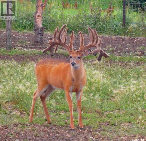 Hartland Whitetails Ltd., Baildon Rm No. 131, SK 