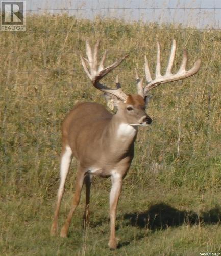 Hartland Whitetails Ltd., Baildon Rm No. 131, SK 