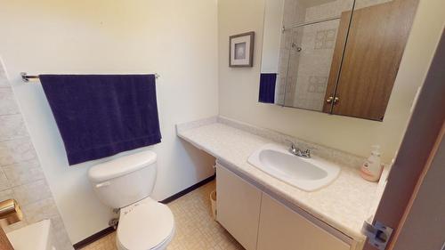 317 - 501 Elk Street, Elkford, BC - Indoor Photo Showing Bathroom