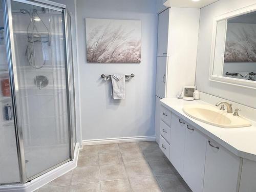 Autre - 2640 Ch. Des Cèdres, Mont-Laurier, QC - Indoor Photo Showing Bathroom