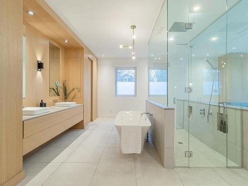 Ensuite bathroom - 111 Rue Somerville, Montréal (Ahuntsic-Cartierville), QC - Indoor Photo Showing Bathroom