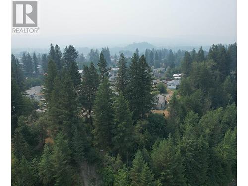 796 Vaughan Street, Quesnel, BC - Outdoor With View