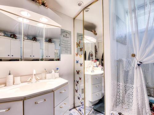 Salle de bains - 1131 41E Avenue, Laval (Fabreville), QC - Indoor Photo Showing Bathroom