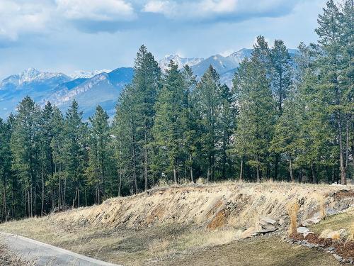 Lot 48 Pine Ridge Mountain Lane, Invermere, BC 