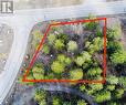 Lot 48 Pine Ridge Mountain  Lane, Invermere, BC 