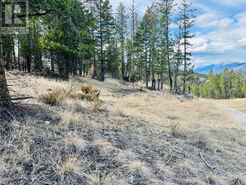 Lot 48 Pine Ridge Mountain Lane, Invermere, BC 