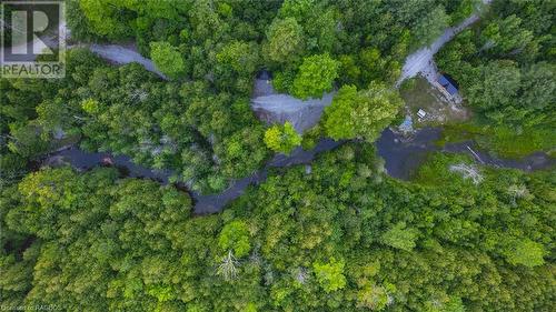 Follow the majestic Rankin River as it gracefully meanders through the sprawling grounds and pours into Berford Lake, a family favourite on the Bruce Peninsula. - 3 Teddy Bear Lane, South Bruce Peninsula, ON - Outdoor With View