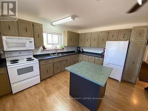 19335 Opeongo Line, Madawaska Valley, ON - Indoor Photo Showing Kitchen With Double Sink