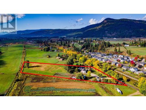 3365 Otter Lake Road, Armstrong, BC - Outdoor With View