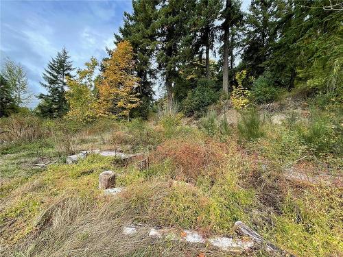 5101 Brenton Page Rd, Ladysmith, BC 