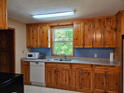 432 Alexander Road, Nakusp, BC - Indoor Photo Showing Kitchen With Double Sink