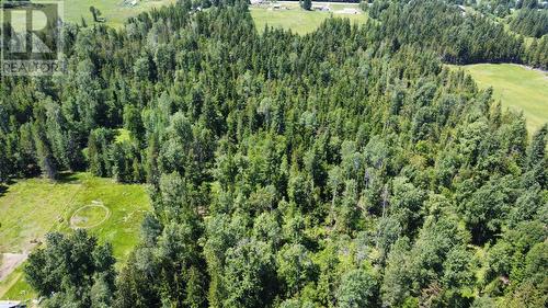 432 Alexander Road, Nakusp, BC - Outdoor With View