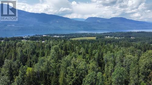 432 Alexander Road, Nakusp, BC - Outdoor With View