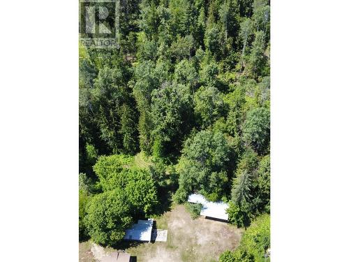 432 Alexander Road, Nakusp, BC - Outdoor