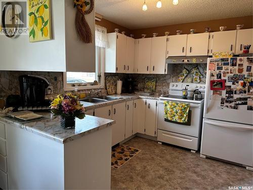 106 2Nd Avenue E, Lampman, SK - Indoor Photo Showing Kitchen With Double Sink