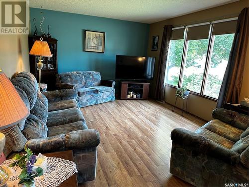 106 2Nd Avenue E, Lampman, SK - Indoor Photo Showing Living Room