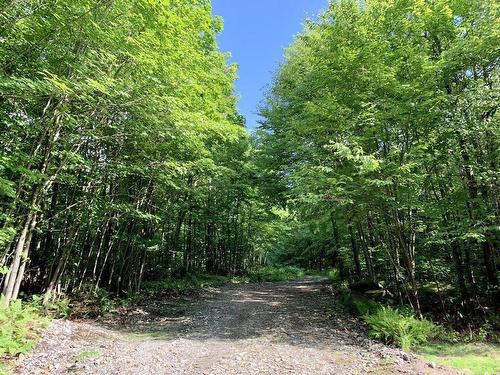 Land/Lot - 148 Ch. Du Sous-Bois, Inverness, QC 