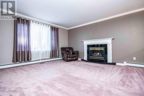 20 Gull Pond Road, Witless Bay, NL - Indoor Photo Showing Living Room With Fireplace