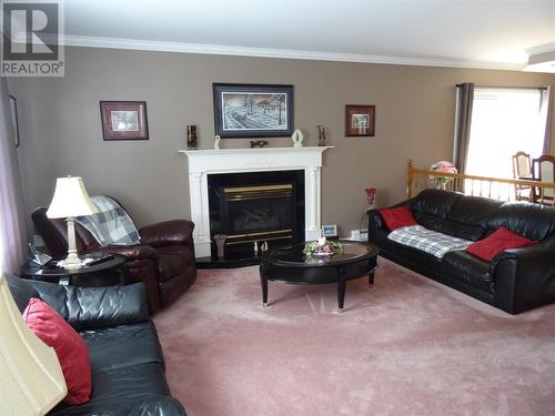 20 Gull Pond Road, Witless Bay, NL - Indoor Photo Showing Living Room With Fireplace