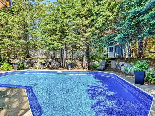 Pool - 2353 Rue De L'Église, Val-David, QC - Outdoor With In Ground Pool With Backyard