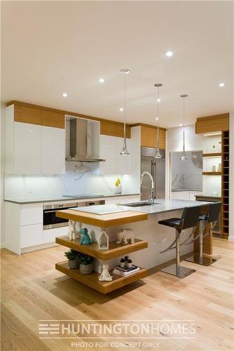 51 Woodland Lane, Headingley, MB - Indoor Photo Showing Kitchen With Upgraded Kitchen