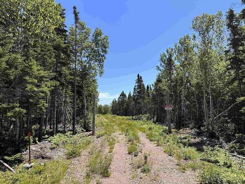 Lot 02 2 Cabot Trail, Birch Plain, NS 