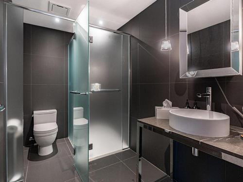 Salle de bains - 1002-242 Rue Young, Montréal (Le Sud-Ouest), QC - Indoor Photo Showing Bathroom
