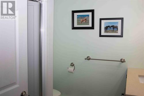 85 Sebastian Drive, Bonavista, NL - Indoor Photo Showing Bathroom