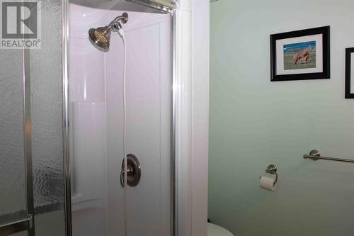 85 Sebastian Drive, Bonavista, NL - Indoor Photo Showing Bathroom