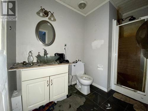 16511 255 Road, Fort St. John, BC - Indoor Photo Showing Bathroom