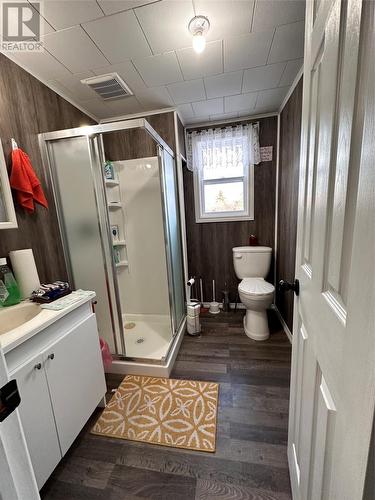 52 Dobers Road, Little Bay, Marystown, NL - Indoor Photo Showing Bathroom